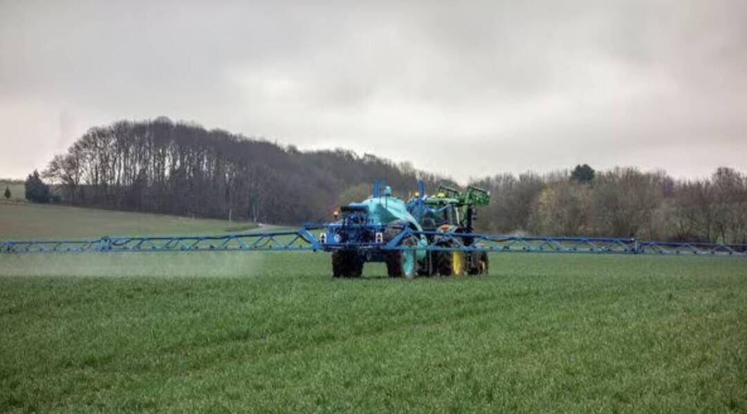 GSP Crop Science shares list at 4% premium, rise 13% post-listing | GSP Crop Science is agrochemical company | Inshorts