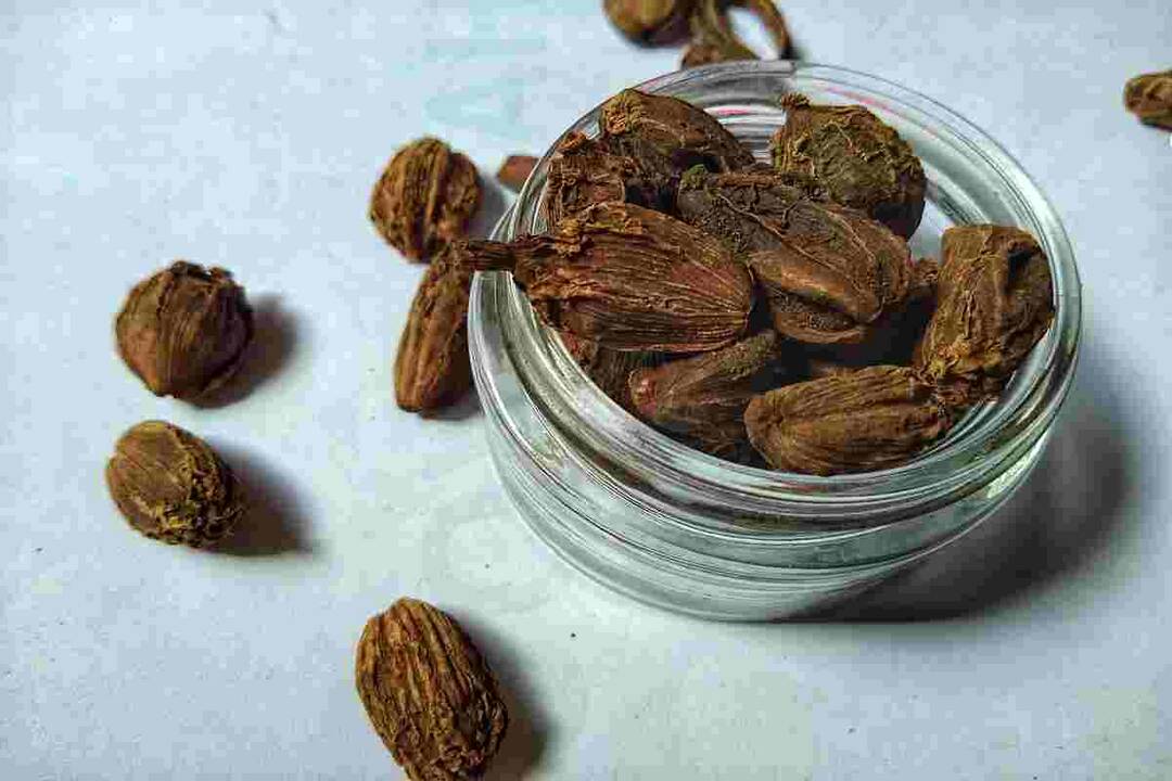 Fact check: Can coriander and black cardamom cure thyroid? 