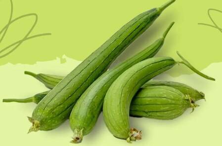 Ridge gourd as a cool, digestive & nutritious summer vegetable
