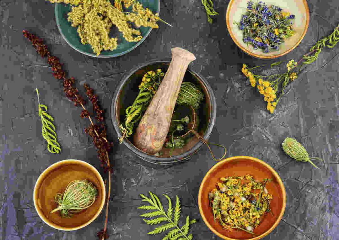 Can herbal decoctions flush out uric acid? 