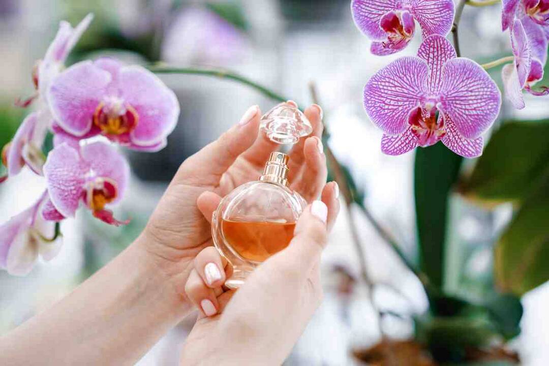 Do perfumes cause hormonal disruption? 