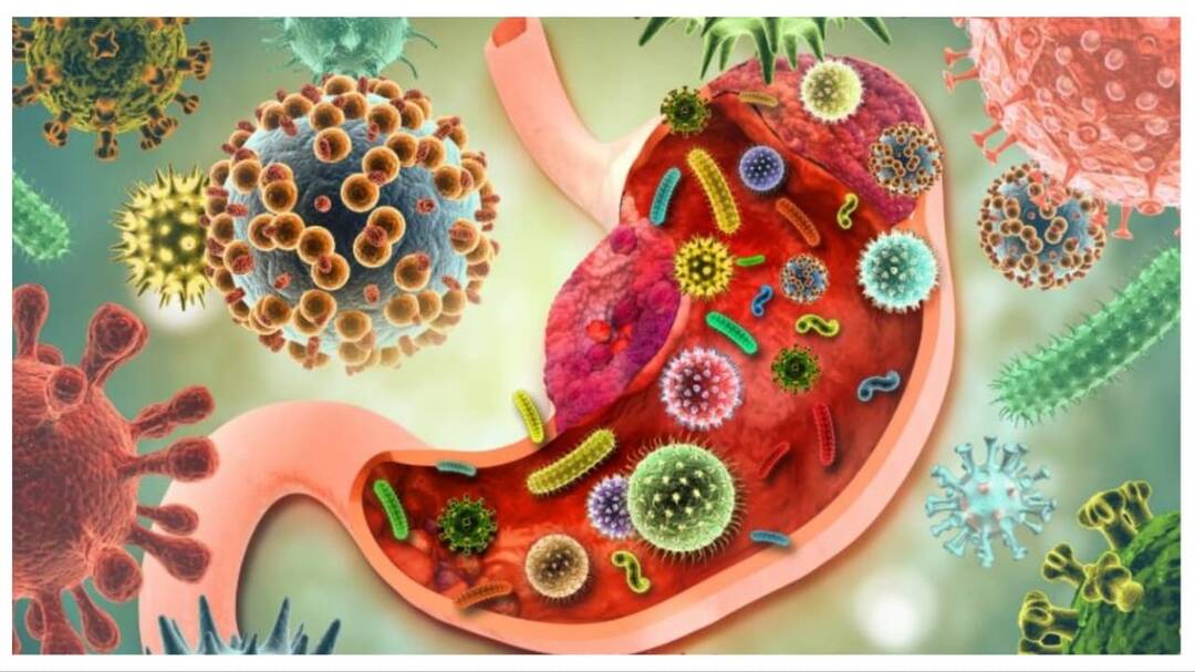 World Health Day: What's hurting India's gut health