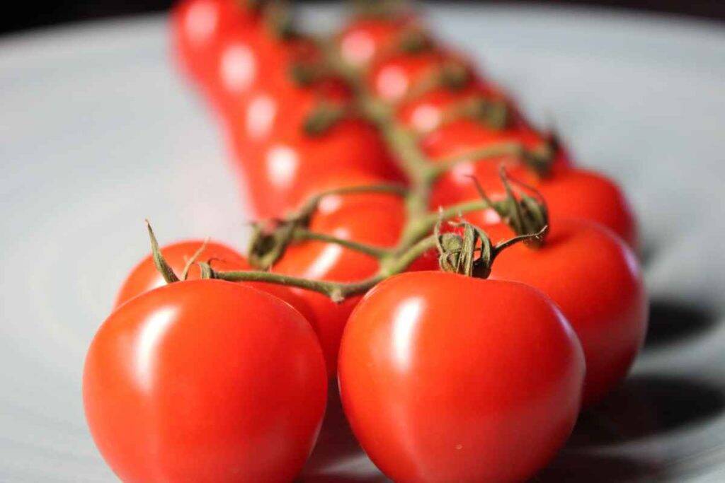 Do tomatoes cause kidney stones? Myth vs reality explained