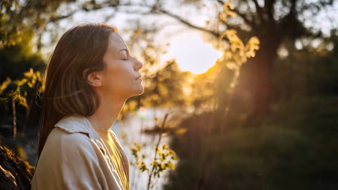Midlife vitamin D levels may influence brain health later: Study