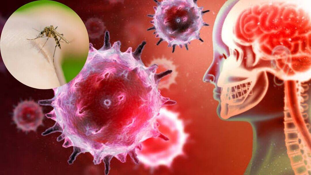 Suspected encephalitis kills 5 kids in Rajasthan