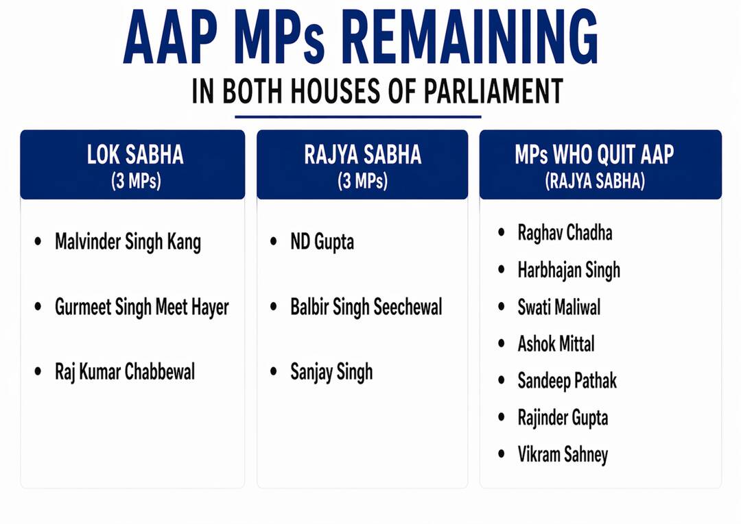 Which AAP MPs now remain in Parliament?