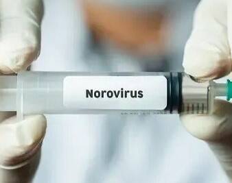 What are the symptoms of norovirus and how does it spread?