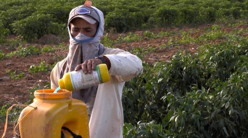 Pesticide exposure linked to 150% higher cancer risk: Study