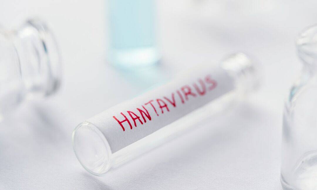 North Korea warns public after Hantavirus outbreak