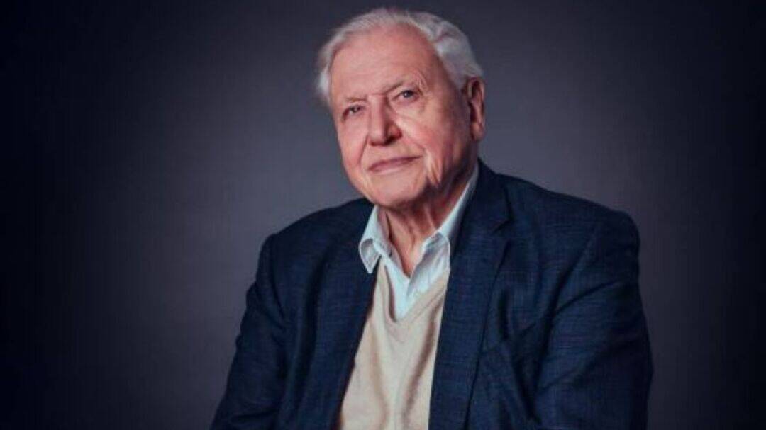 David Attenborough at 100 highlights 4 habits for long life