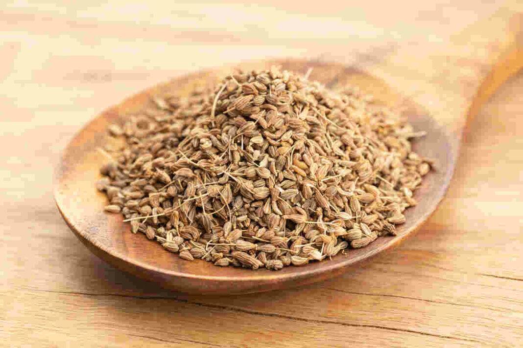 Aniseed shows potential benefits for digestion and health