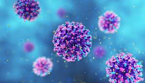 Hantavirus may survive in human sperm for 6 years: Study