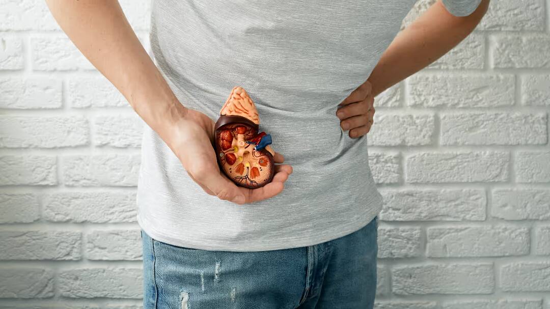 Daily habits to help keep your kidneys strong