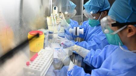 Thailand declares Hantavirus a highly communicable disease