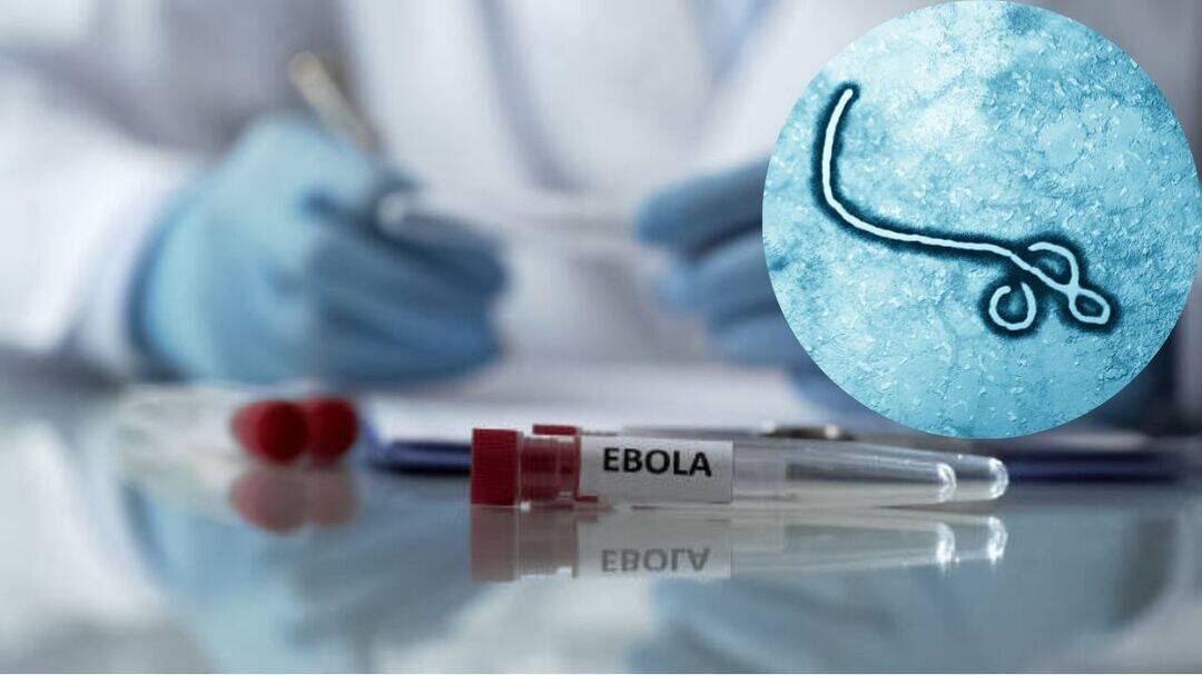 6 Americans exposed to Ebola in Congo amid global health alert