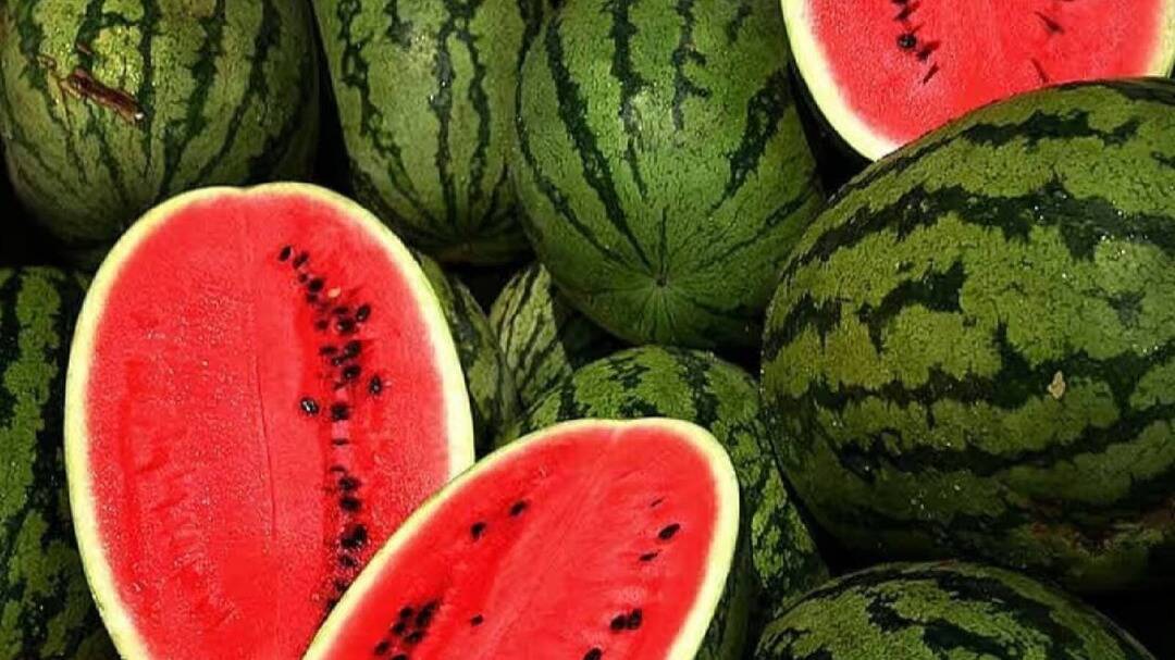 How to check if watermelon is safe to eat as man dies from eating fruit in MP?
