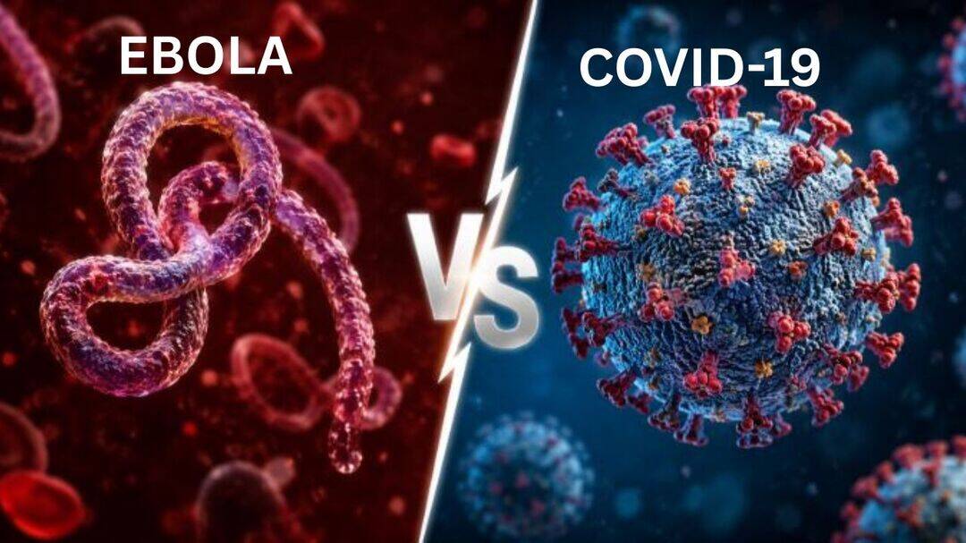 Ebola vs COVID 19: Key differences you should know 