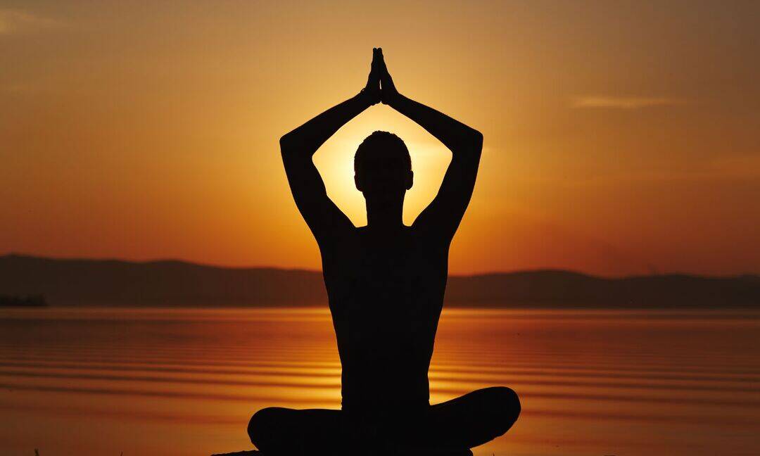 Ayush event highlights yoga for menopause wellness