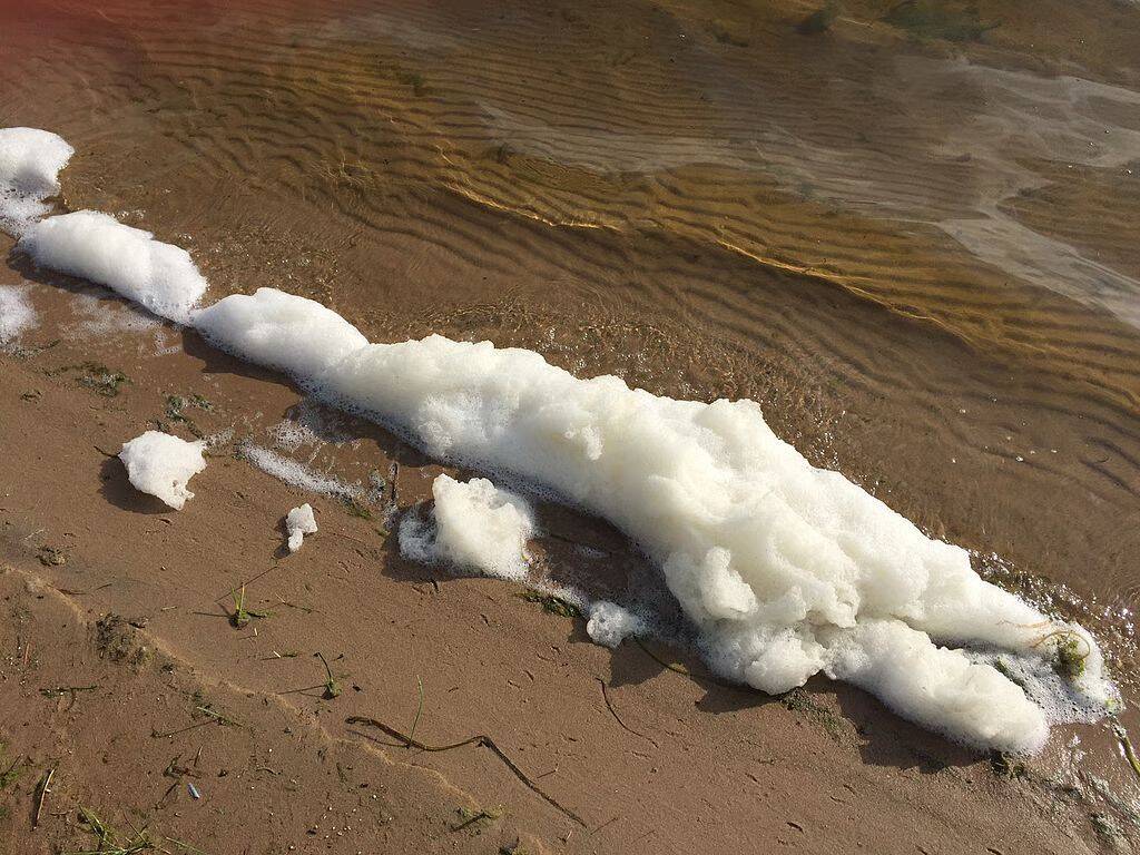 Forever chemicals raise alarm over India’s water safety