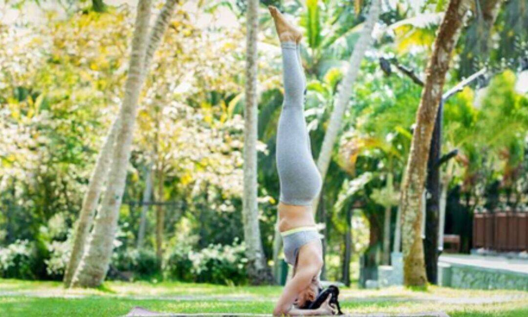AYUSH Ministry outlines health benefits of Shirshasana