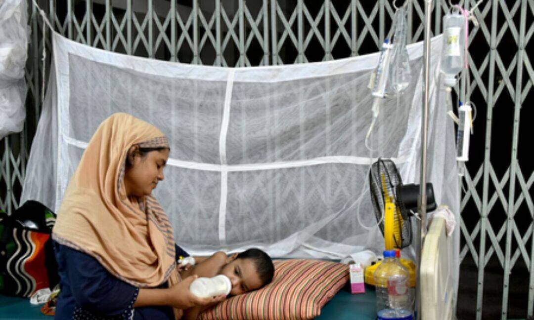 Measles outbreak in Bangladesh claims 545 lives amid vaccine gap