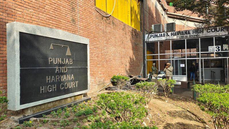 IVF allowed for woman above 50, Punjab and Haryana HC rules