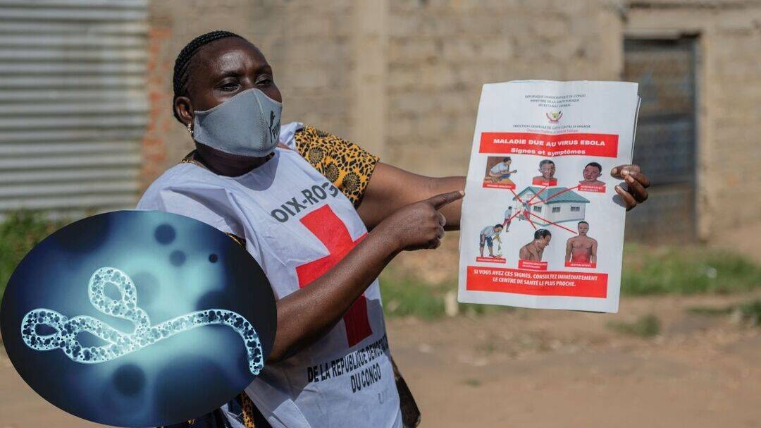 Experimental Ebola antibody MBP134 sparks hope in Congo crisis