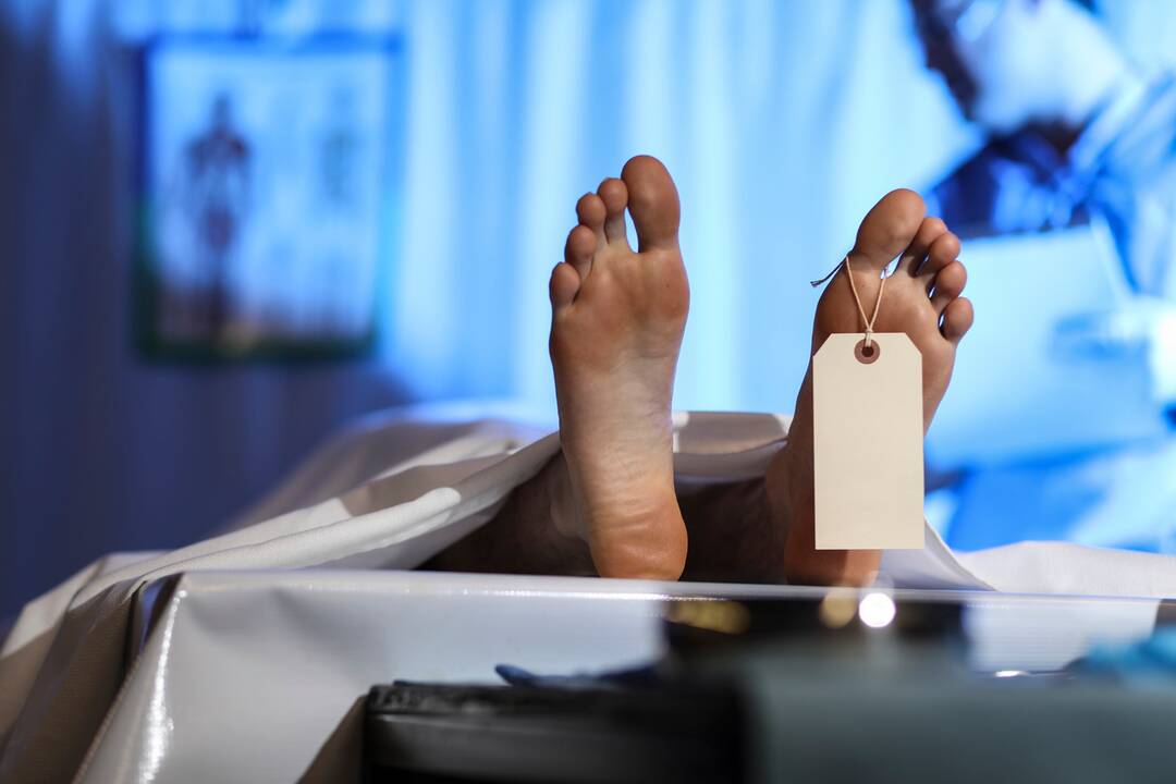 Nearly 2 in 5 deaths in T'gana claim someone in their working-age