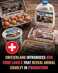 Switzerland introduces landmark animal welfare labelling law