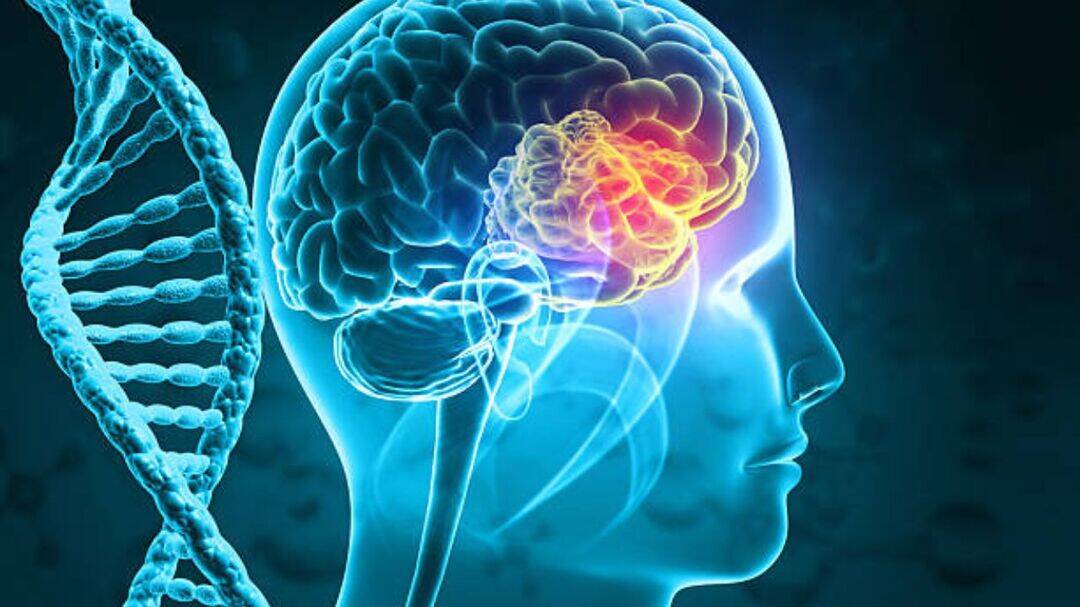 Extreme heat may intensify brain tumour symptoms, experts warn