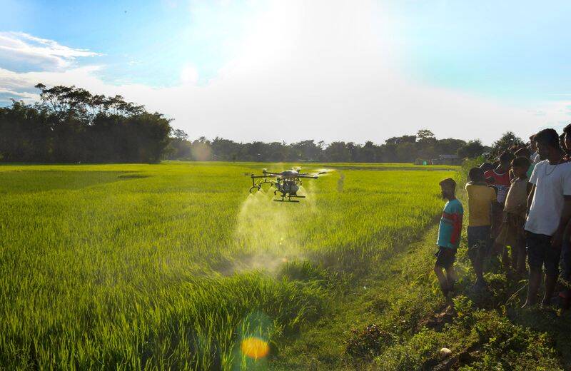 Experts warn of mounting health crisis from pesticides in Himachal