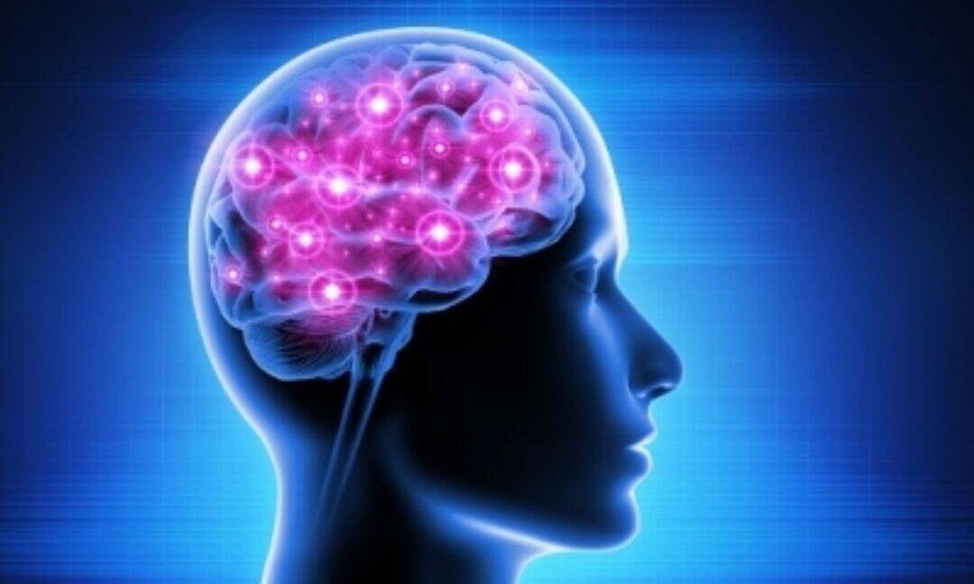 Air pollution may age the brain by 10 Years, study reveals