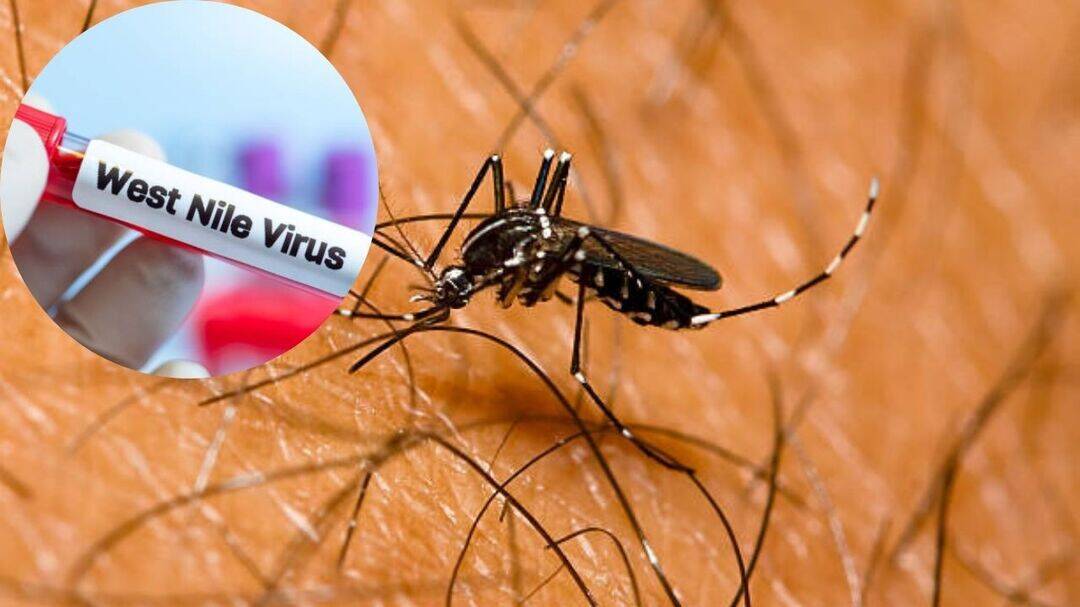 Kerala on high alert after suspected West Nile fever deaths