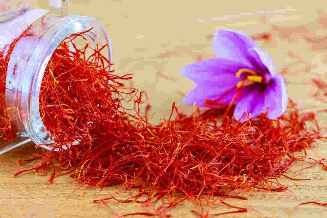 Saffron: Tiny threads with big health benefits