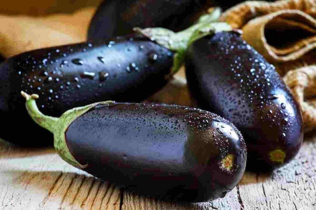 Eggplant: The everyday vegetable with surprising benefits