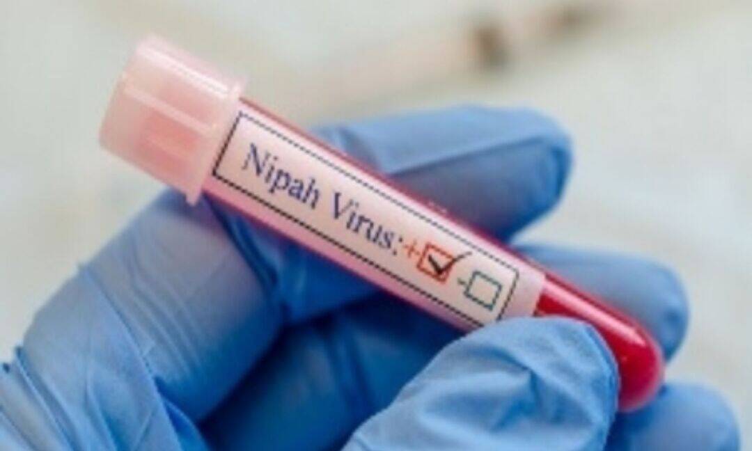 TN's Nilgiris steps up border checks amid Kerala Nipah concerns