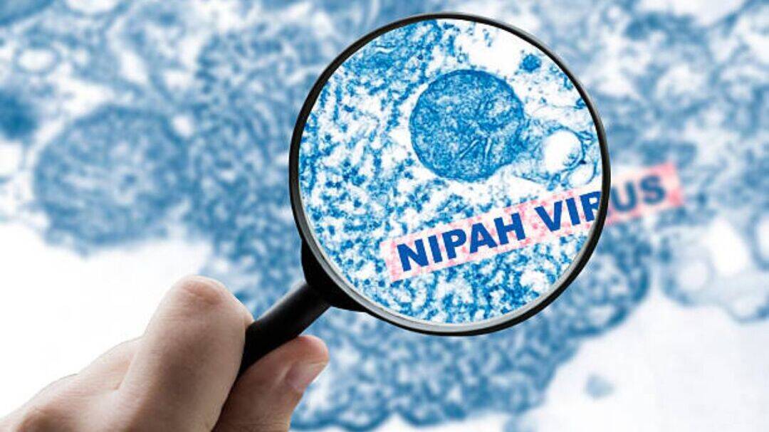 Second medical staffer tests negative for Nipah virus in Kerala