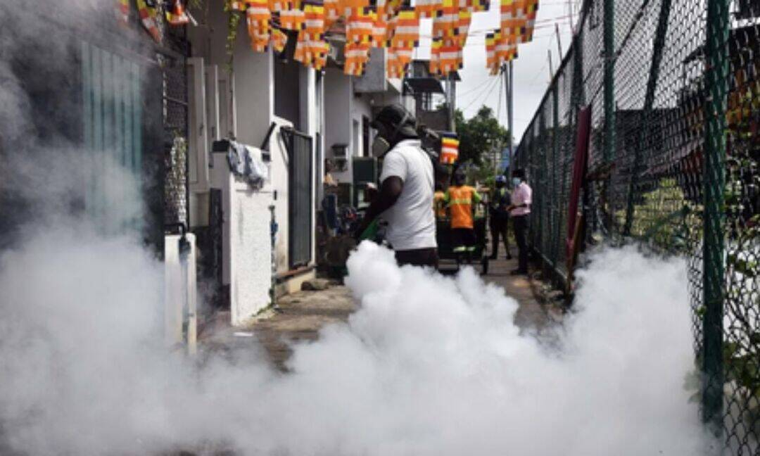  Sri Lanka is facing a new dengue strain outbreak