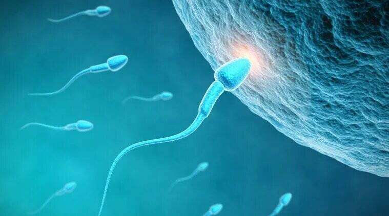 Yoga may improve sperm quality, reduce DNA damage in infertile men: AIIMS study