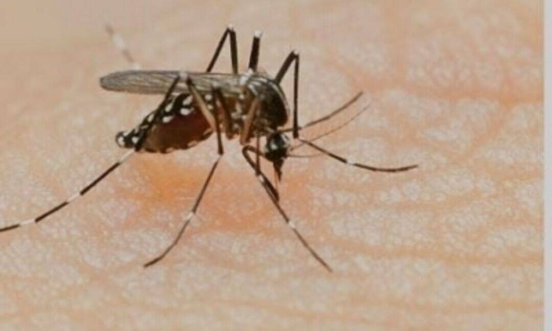Bangladesh dengue toll rises to 9 as cases near 5,000