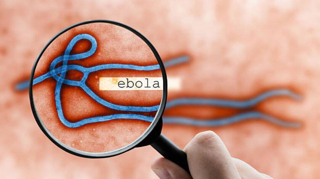 Ebola outbreak in Congo crosses 1,000 cases, 254 die