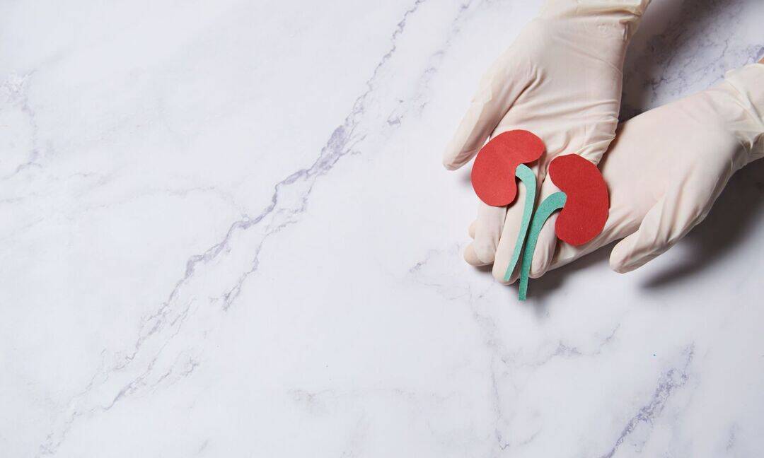 Fathers' kidney donations save children on Father's Day