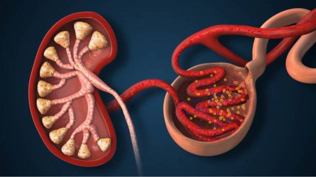 Your kidneys could be leaking protein and you may not know it