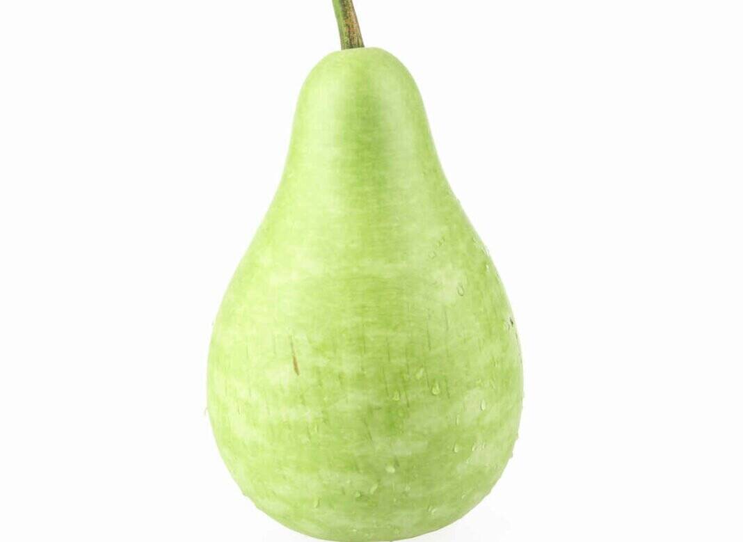Bottle Gourd: Nutrition, benefits and everyday uses