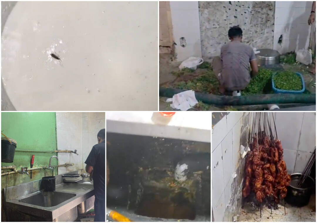 Dead cockroaches, open drains, unhygienic practices found after raids at 3 Hyderabad eateries