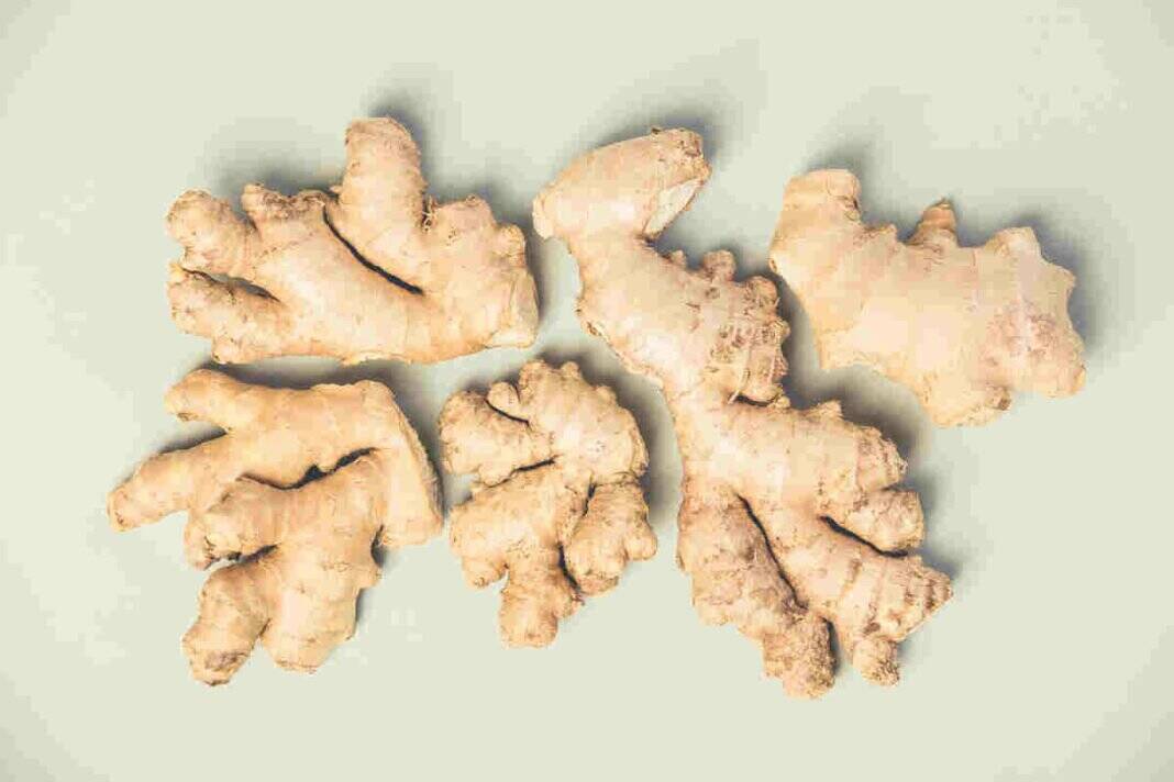 Can ginger help with coronary artery disease?