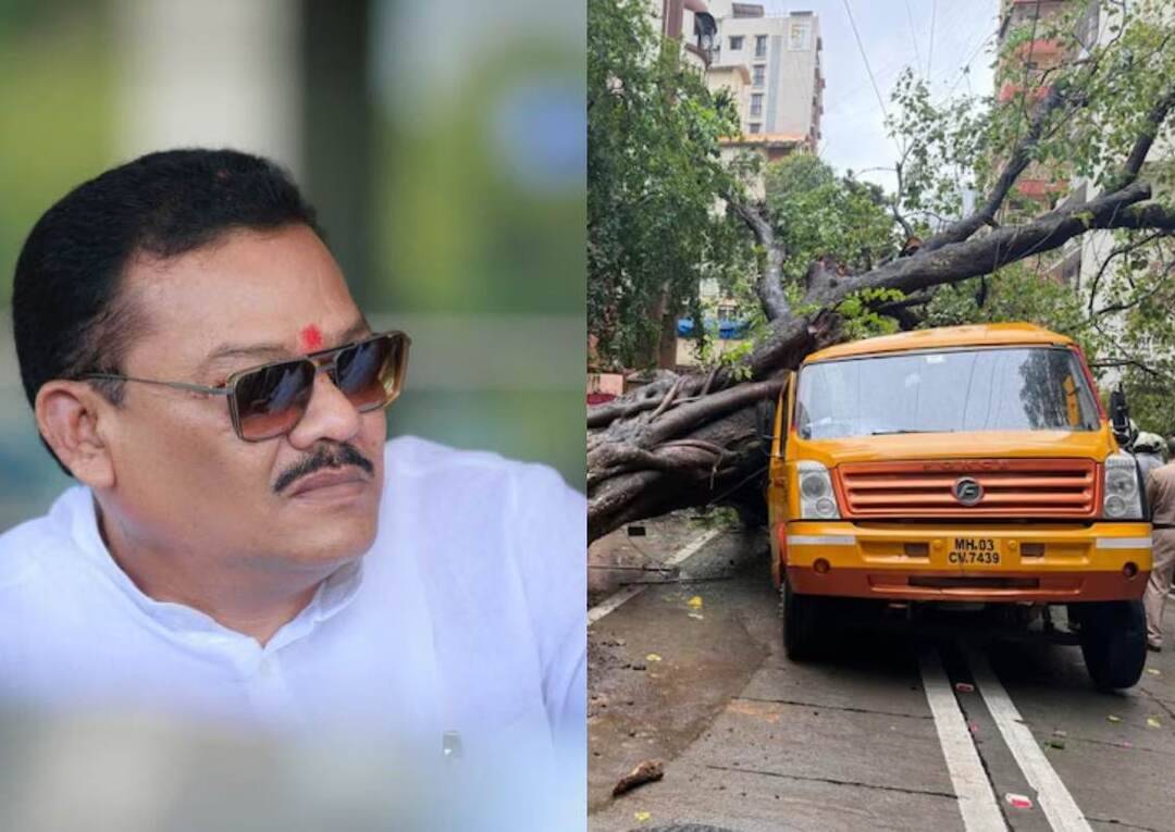 How would we know that a tree is going to fall: Maharashtra Minister after boy crushed to death