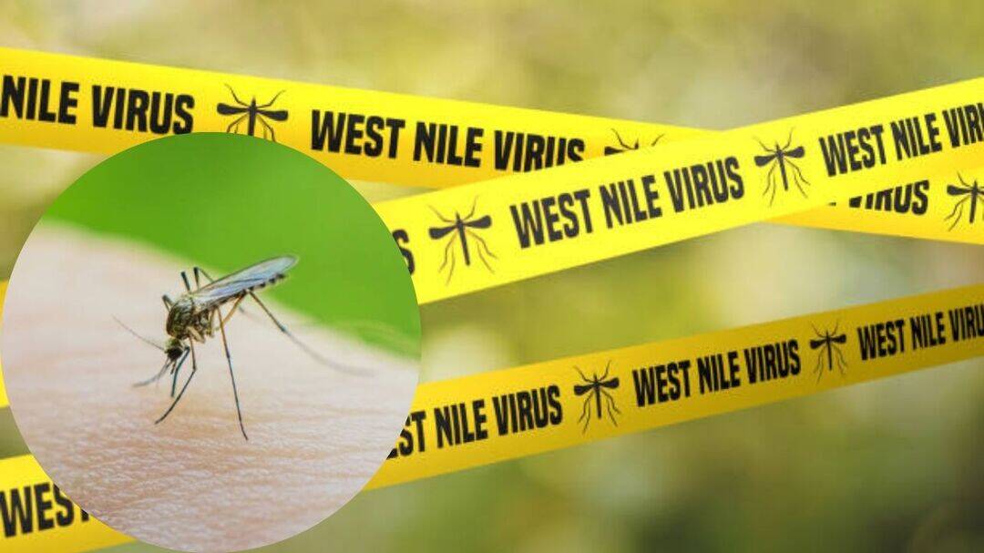 West Nile virus surge across US, CDC issues early warning