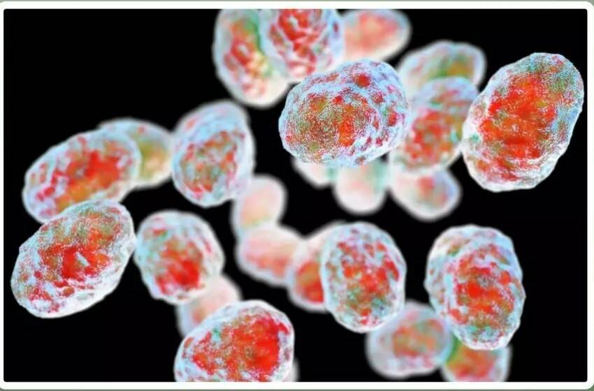 Most pet-borne infections are preventable, says expert