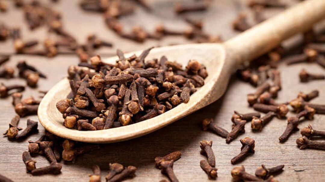 Why chewing cloves every morning is good for health